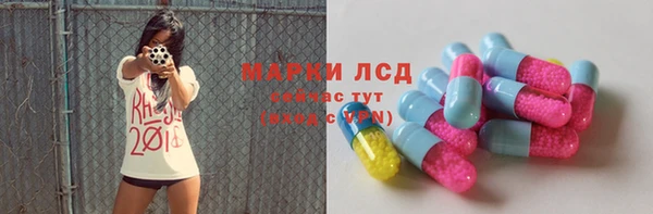 ПСИЛОЦИБИНОВЫЕ ГРИБЫ Алзамай