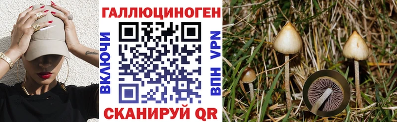 закладки  Артёмовский  Галлюциногенные грибы мухоморы 